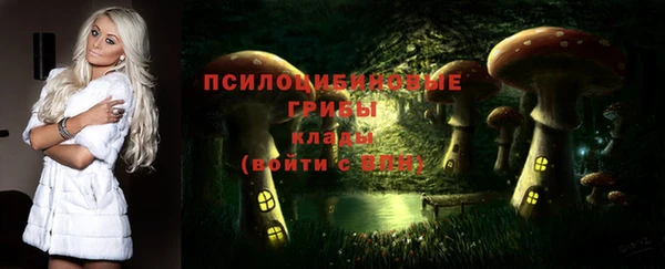 молекула духа Михайловск
