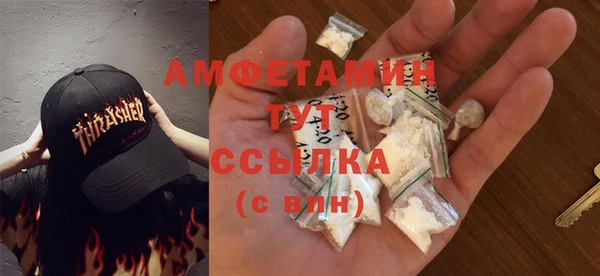 гидропоника Алзамай